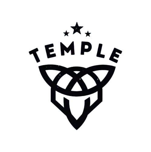 Theo Logo